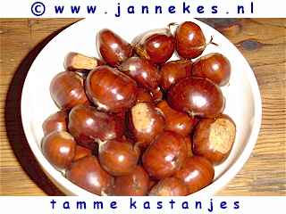 photo chestnuts
