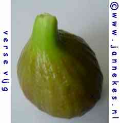 photo fresh figs