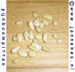 photo pine nuts