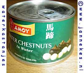 photo water chestnut in can